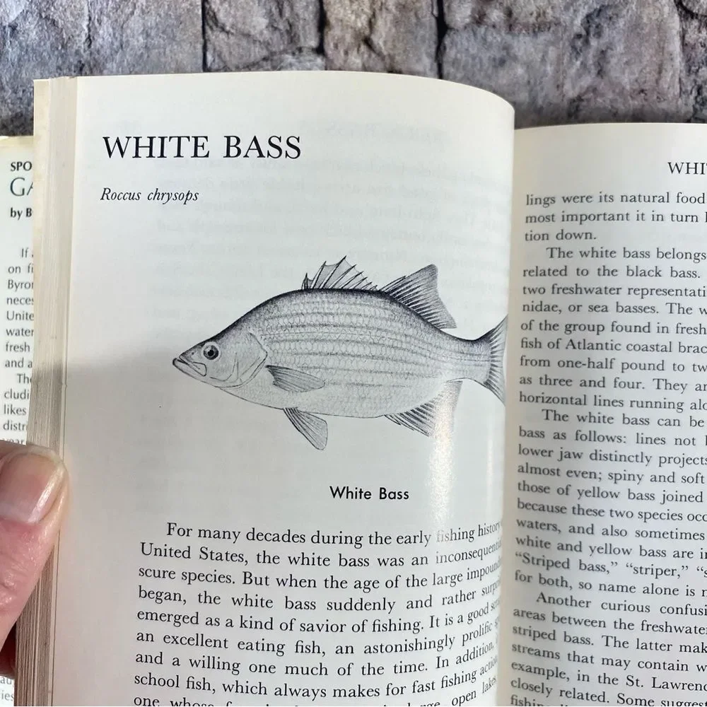 Outdoor Life sportsman guide